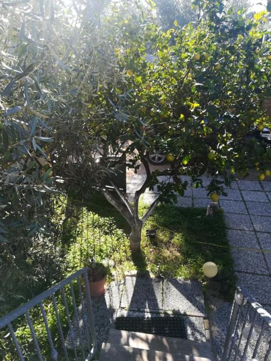 Casa Cocco Apartment Sant Isidoro  Екстериор снимка
