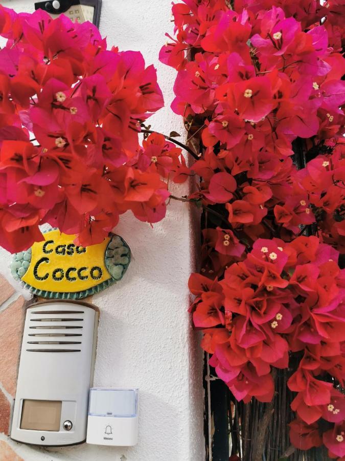 Casa Cocco Apartment Sant Isidoro  Екстериор снимка