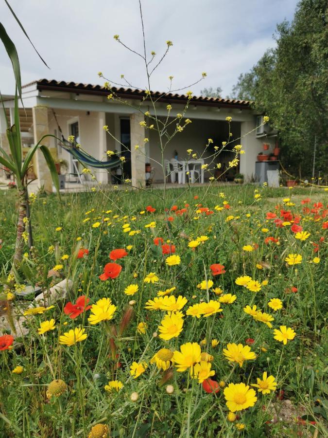Casa Cocco Apartment Sant Isidoro  Екстериор снимка